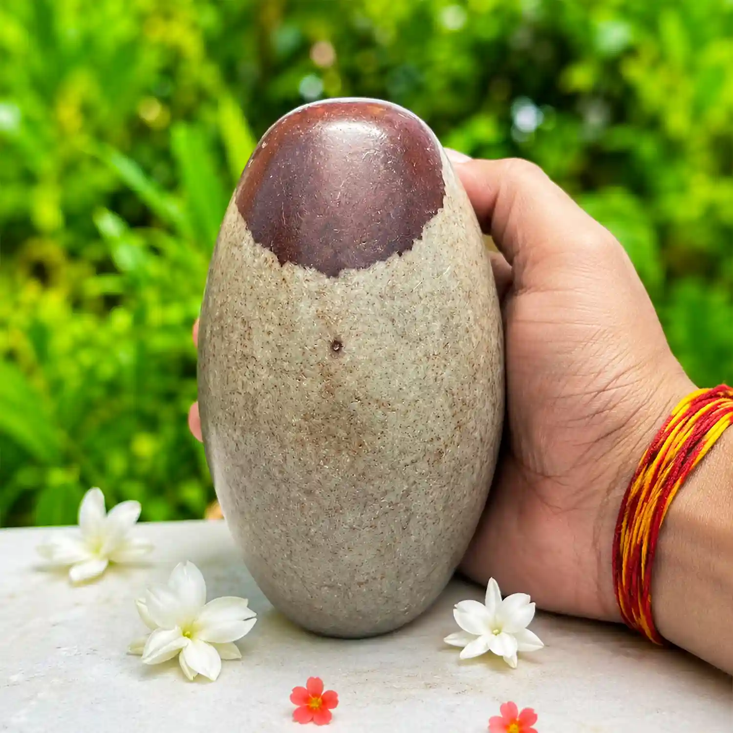 3 Inch Narmadeshwar Shiv Ling | Narmadeshwar Shiva Lingam